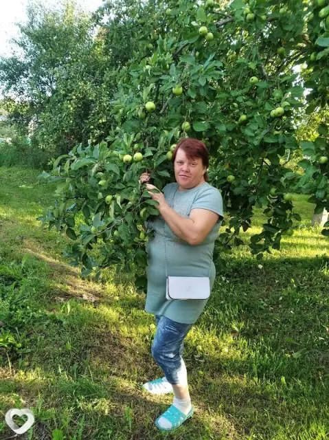 Вера, 44 — фото анкеты