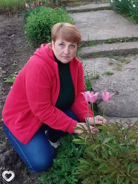 Елена, 61 — фото анкеты