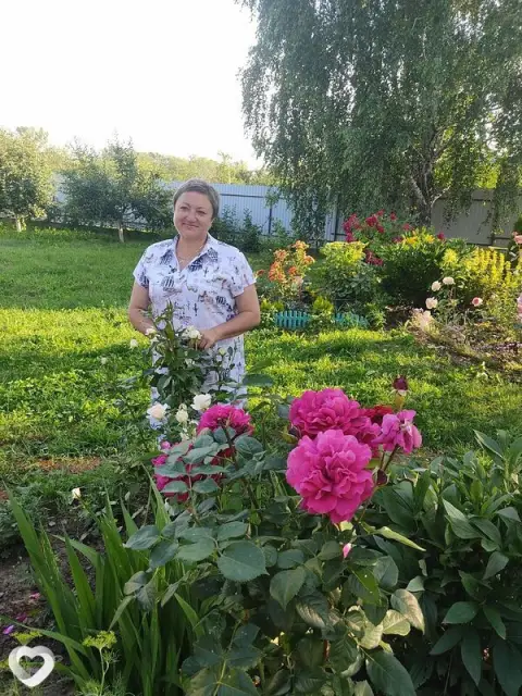 Людмила, 56 — фото анкеты