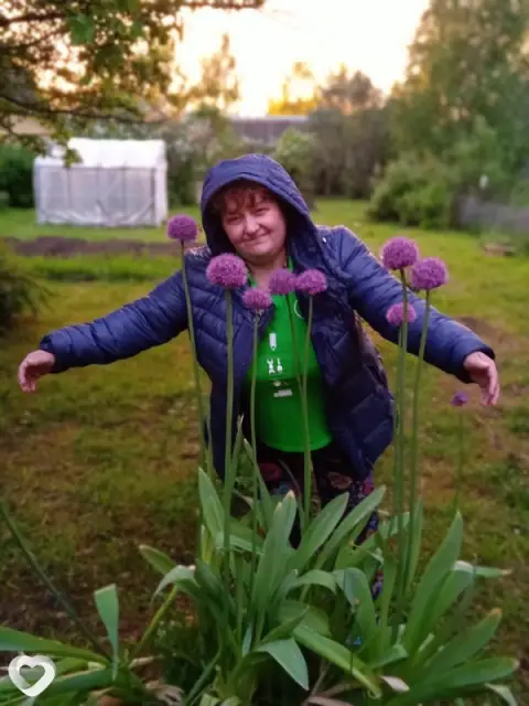 Светик, 60 — фото анкеты