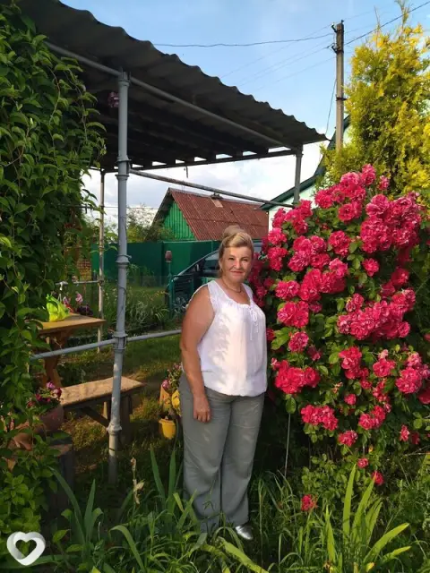 Антонина, 58 — фото анкеты