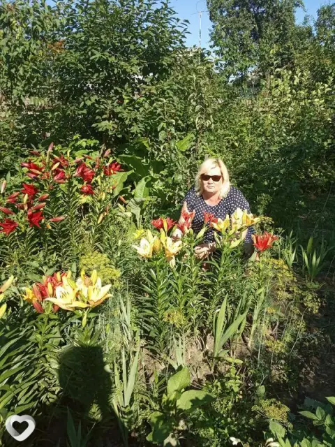 Галина, 49 — фото анкеты