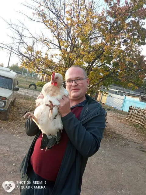 Владимир, 42 — фото анкеты