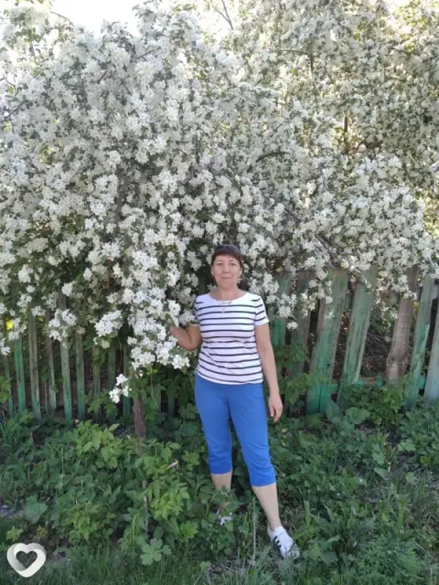 Разина, 53 — фото анкеты
