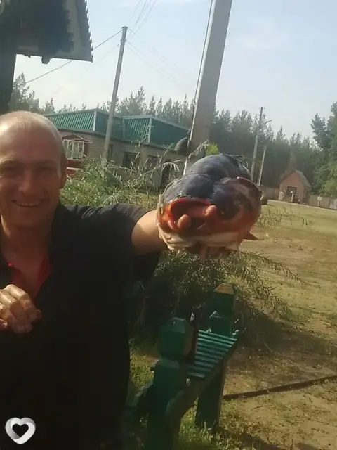 Виталий, 47 — фото анкеты