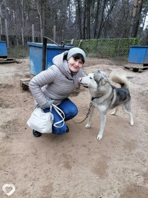 Валюша, 58 — фото анкеты