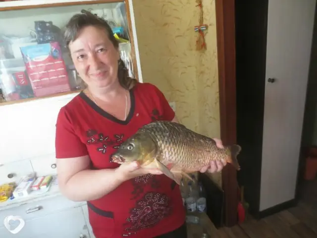 Светлана, 61 — фото анкеты