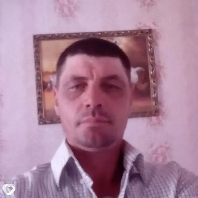 Владимир, 46 — фото анкеты