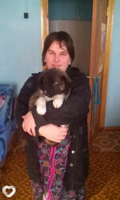 Светлана, 48 — фото анкеты