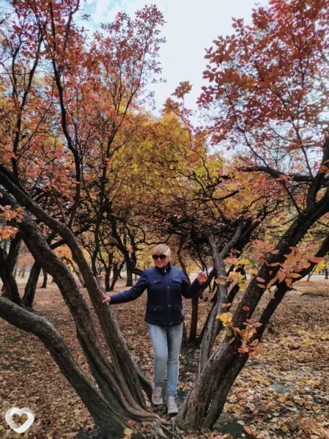 Елена, 55 — фото анкеты