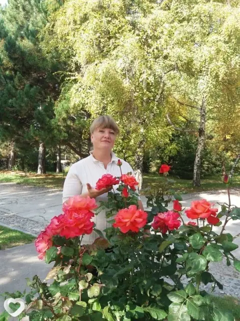 Светлана, 46 — фото анкеты