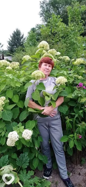 Ирина, 63 — фото анкеты